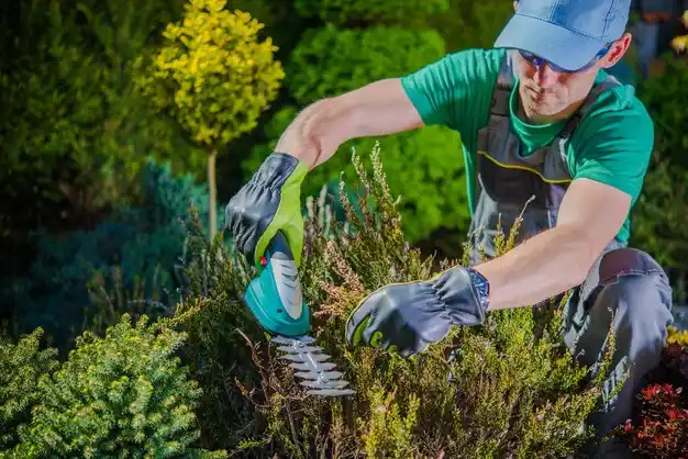 landscaping services Eolia